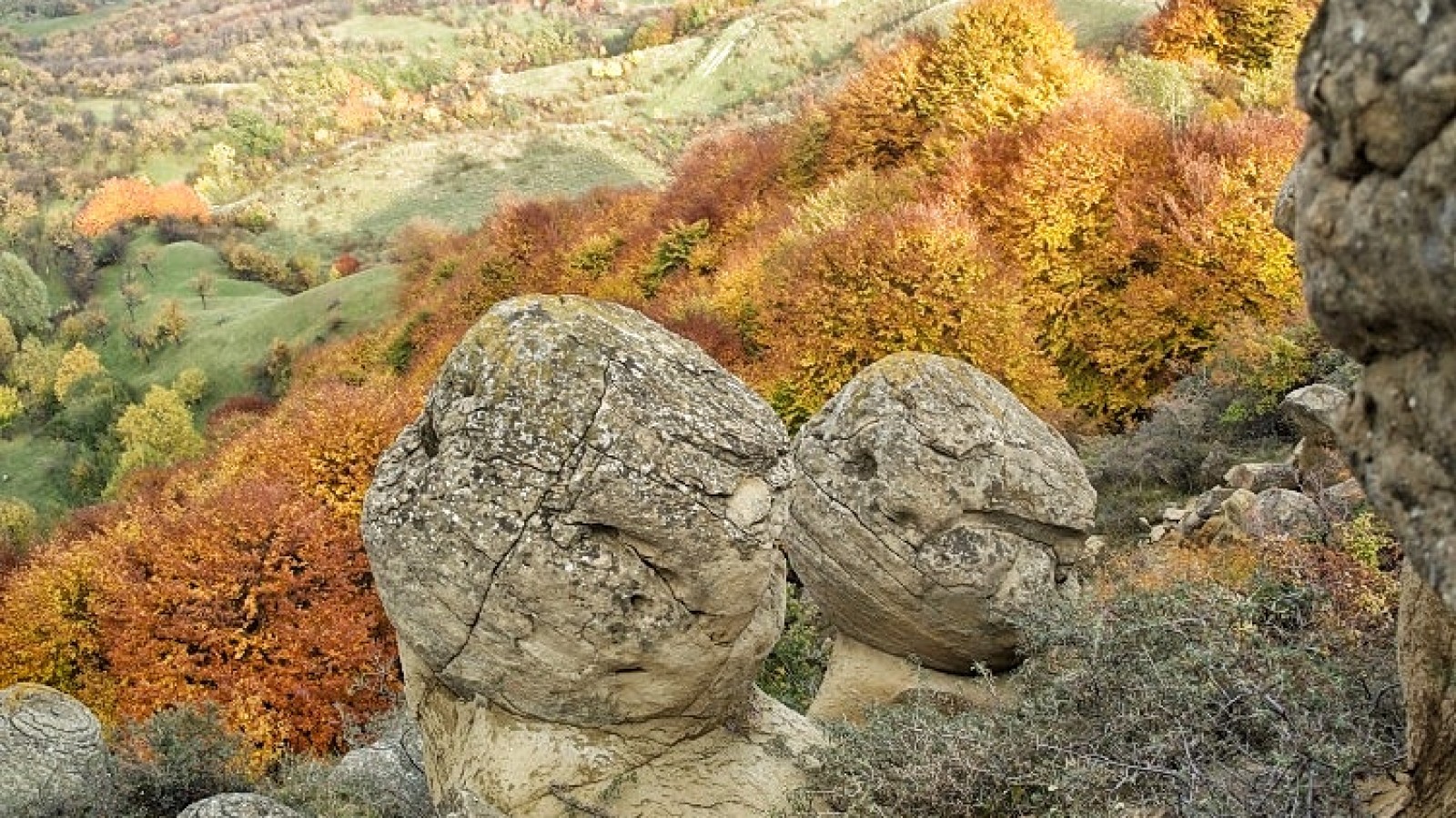 Trovanții din Chiojdu, Buzău