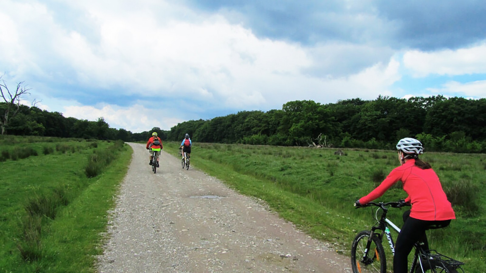 Gravel Tour in the Wilderness of Romania