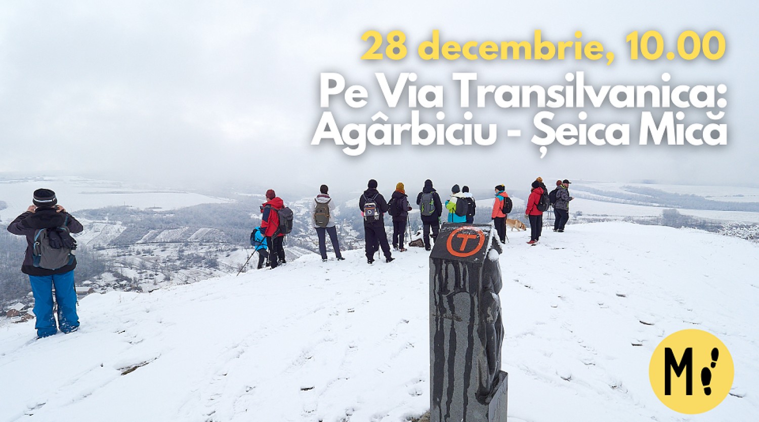 Drumeție pe Via Transilvanica: de la Agârbiciu – Micăsasa