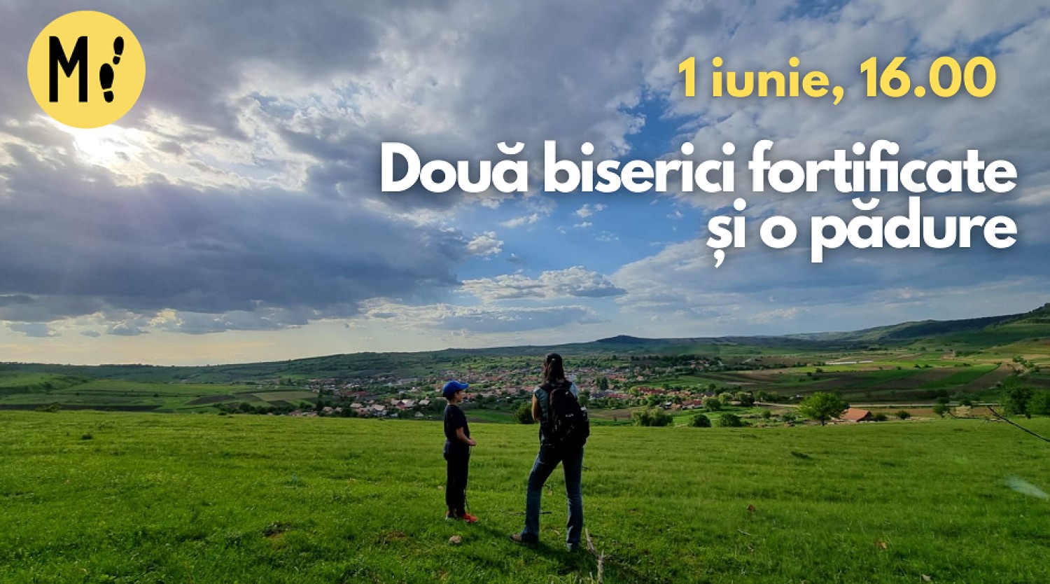 Două biserici fortificate și o pădure