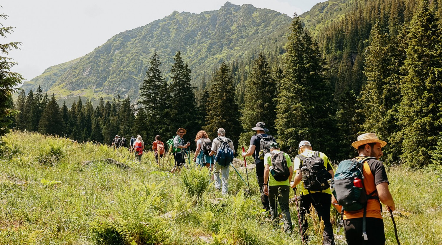 Drumetie in Muntii Fagaras - Valea Doamnei