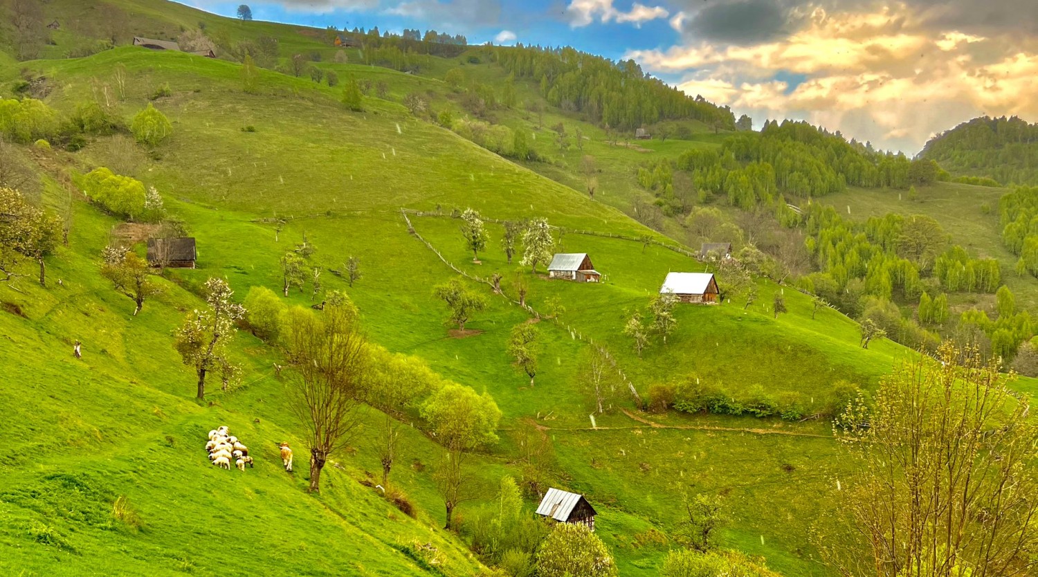 La pas prin Țara Colibelor