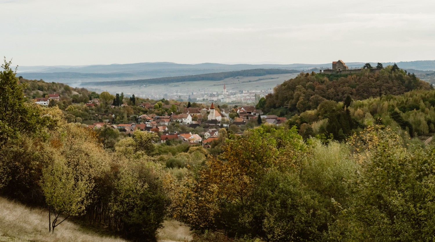 Circuit pentru micii exploratori în Pădurea Catrina